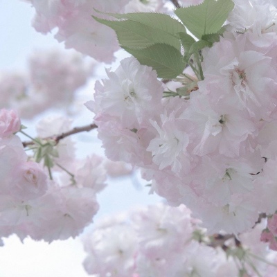 兽设配饰设计灵感合集兽圈群